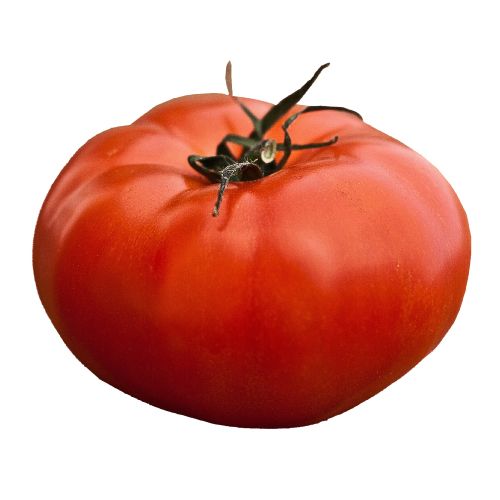 Beef Tomatoes