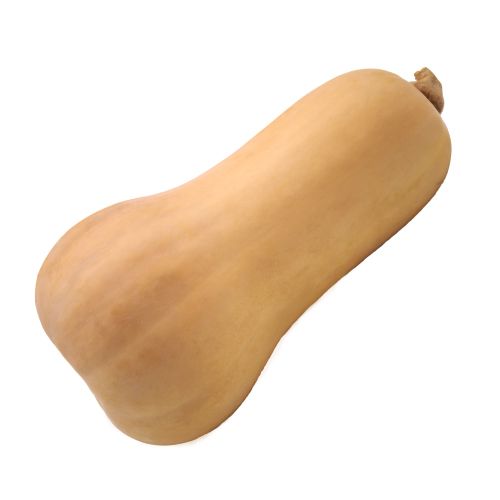 Butternut Squash.