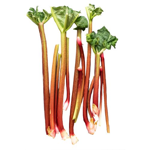 Rhubarb Bunch Class 1