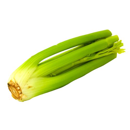 Celery