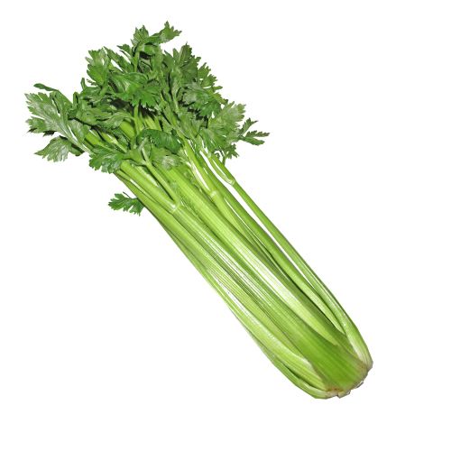 Celery P/p Class 1