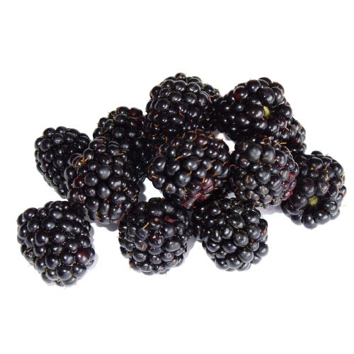 Blackberries - Punnet