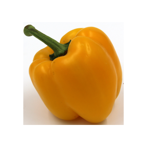 Yellow Pepper