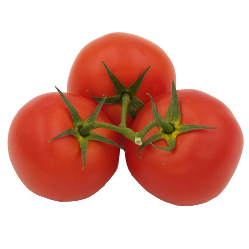 Tomatoes P/p Class 1