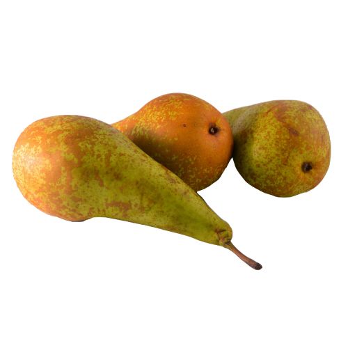 Conference Pears