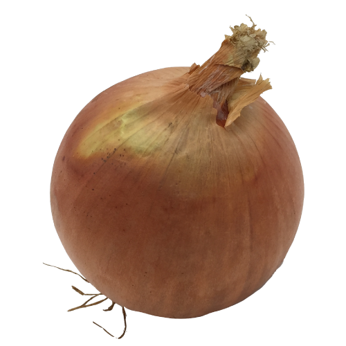 *sub Onions 500g