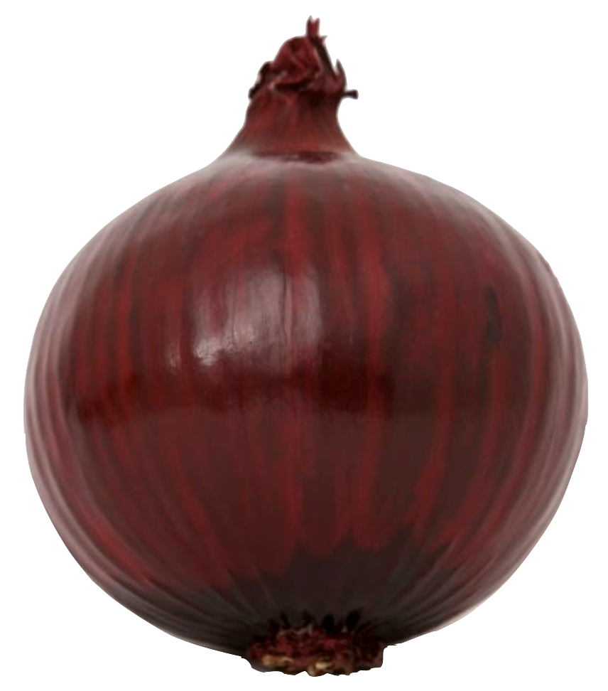 *sub Onions Red 3pk
