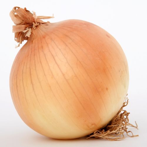 Sock Onion 3 Pk