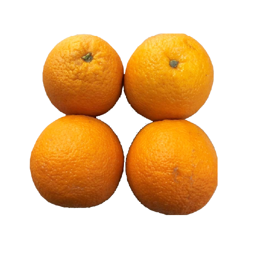 Oranges Tub