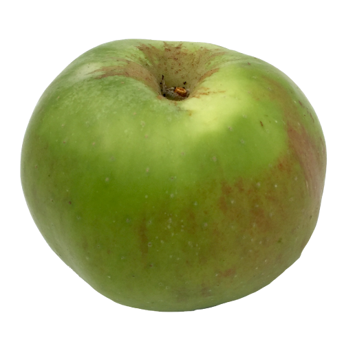 Cooking Apples