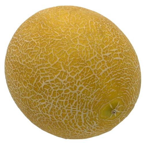 Galia Melon