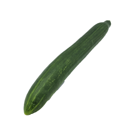 Cucumber