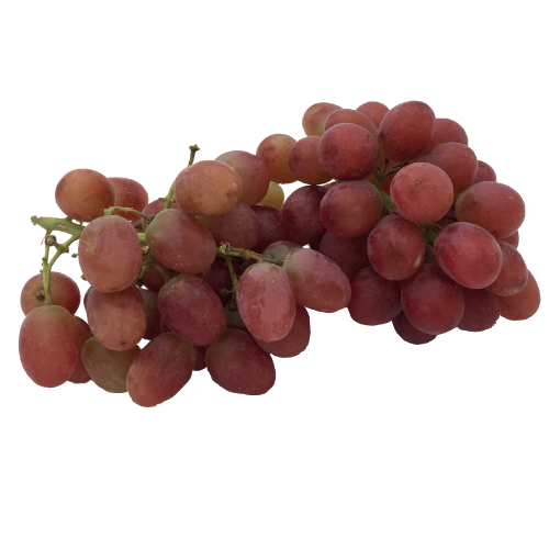 Loose Grapes Red/black