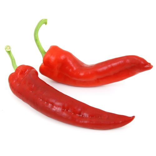 Chillies P/p Class 1 Dutch