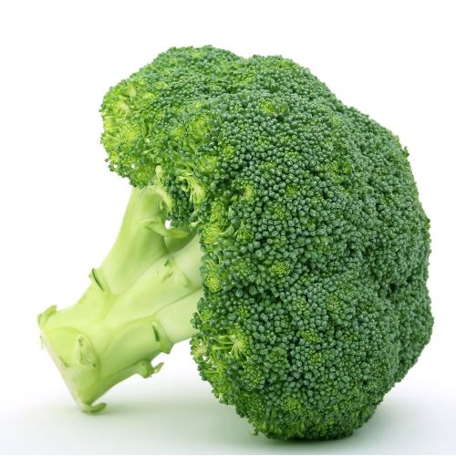 Broccoli Class 1