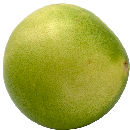 Pomelo