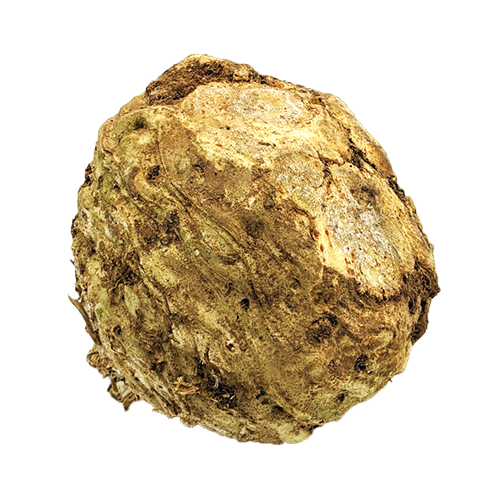 Celeriac