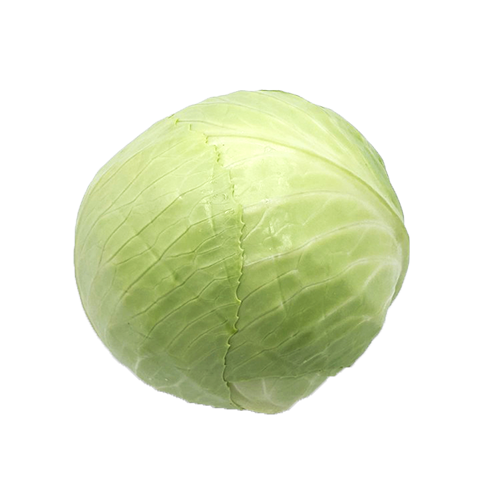 Cabbage Coleslaw Cabbage