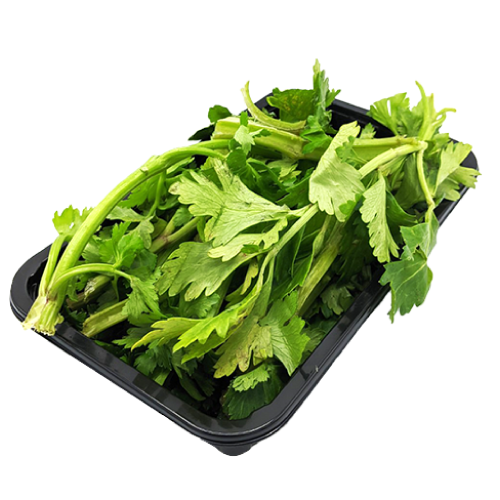 Soup Celery