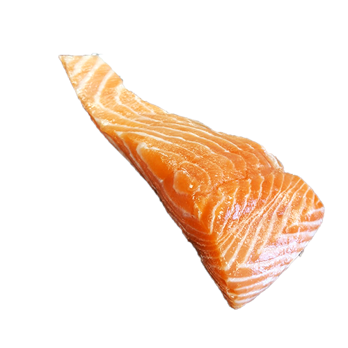 Salmon Fillet