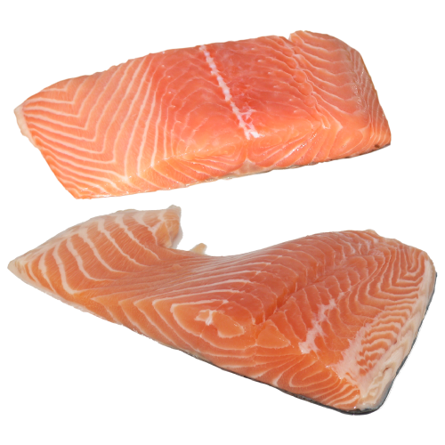 Fresh Salmon
