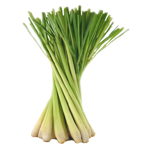 Lemon Grass