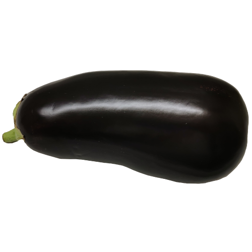Large Dutch Aubergines