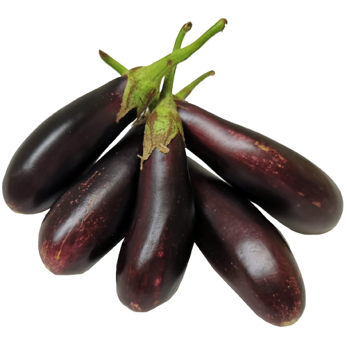 Long Ravaiya Aubergines