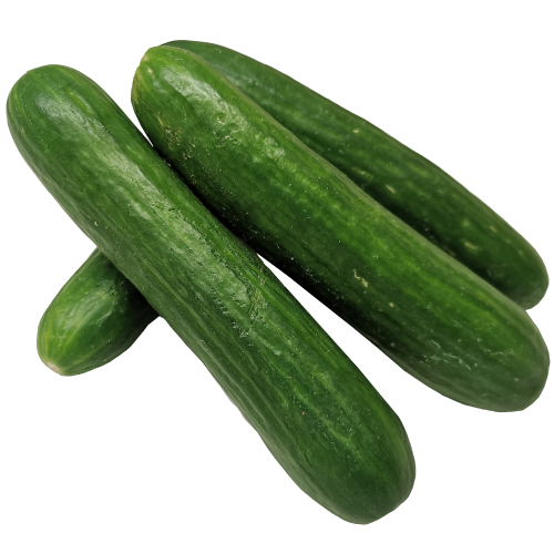 Baby Cucumber.
