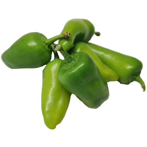 Single Green Chilli