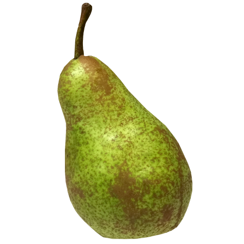 Conference Pears