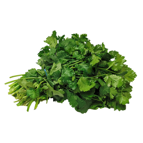 Coriander.