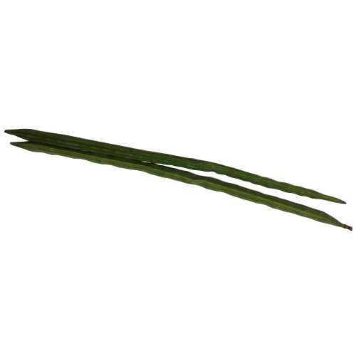 Drumsticks