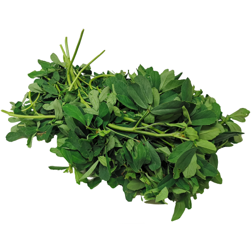 Fresh Methi