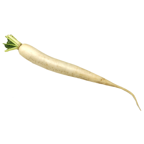 Mooli