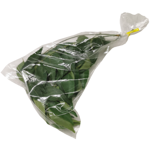 Fresh Leaves