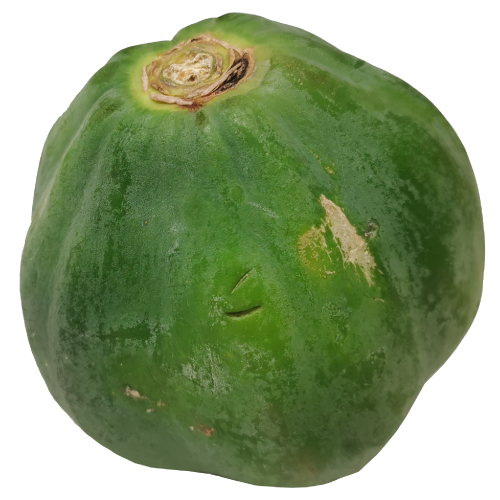Papaya Raw.