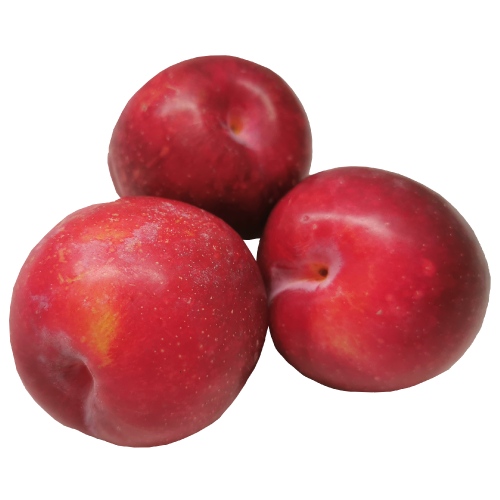 Red Plum