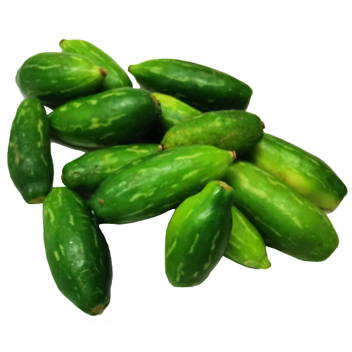Tindora