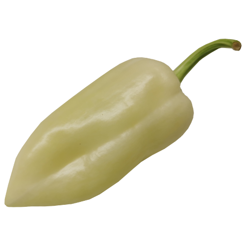 White Capsicum.