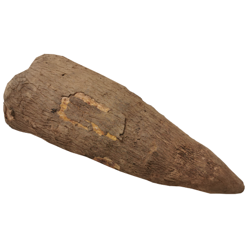 Yam