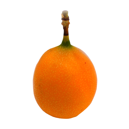 Granadilla