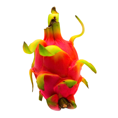 Dragon Fruit