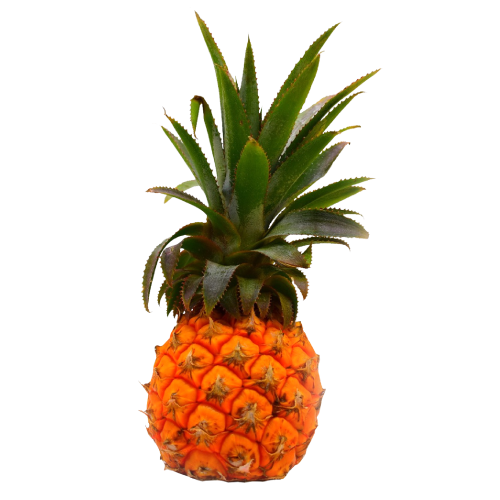Baby Pineapple