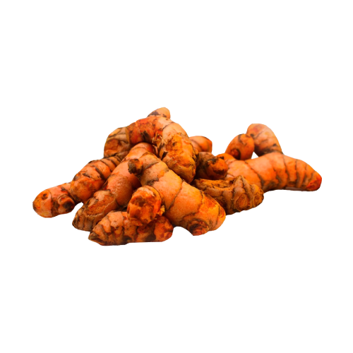 Fresh Turmeric