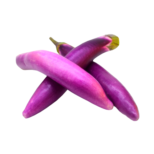 Dominican Aubergine