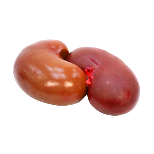 Mutton Kidney