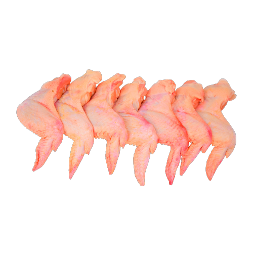 3 Joint Wings