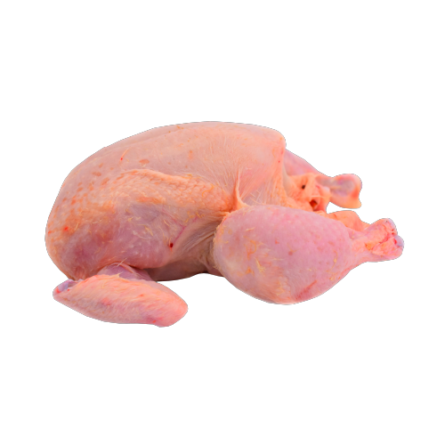 Medium Chicken