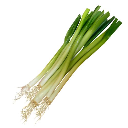 Scallions Class 1